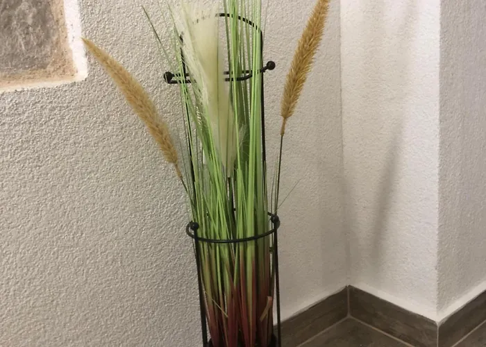 Blue Moon Split- Free Parking